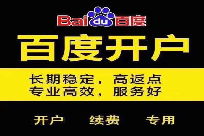 解析百度竞价排名的效果评估与优化方法